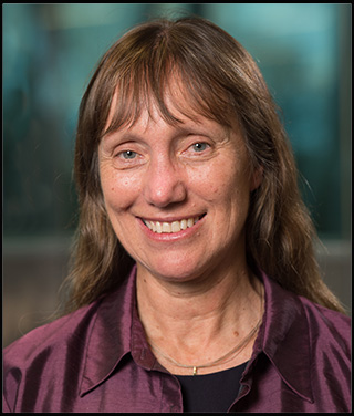 D/Prof Kerrie Mengersen, Director, QUT Centre for Data Science